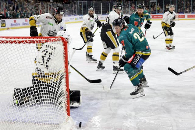 Belfast Giants' Bobby McIntyre with Nottingham Panthers’ Mike Robinson during Friday nights EIHL game at the SSE arena, Belfast.   Photo by William Cherry/Presseye
