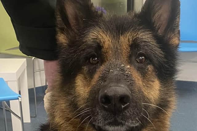 'Jodie' was retrieved from the M5.