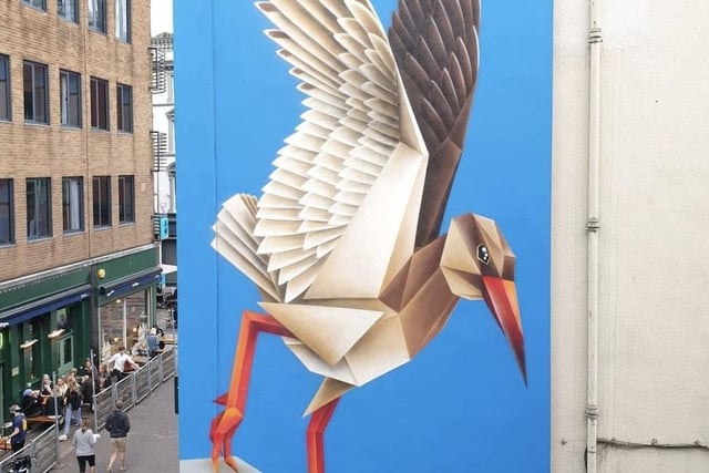 Specialising in all things wildlife, these origami illustrations created by street artist Annatomix appear all over the UK and Ireland primarily depicting birds native to the area the street art has been created.

Helping raise awareness on animal extinction, her Redshank mural in the heart of the city highlighted their dwindling numbers whilst also making a great piece of art.