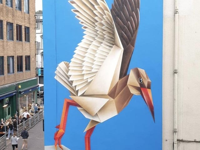 Specialising in all things wildlife, these origami illustrations created by street artist Annatomix appear all over the UK and Ireland primarily depicting birds native to the area the street art has been created.

Helping raise awareness on animal extinction, her Redshank mural in the heart of the city highlighted their dwindling numbers whilst also making a great piece of art.
