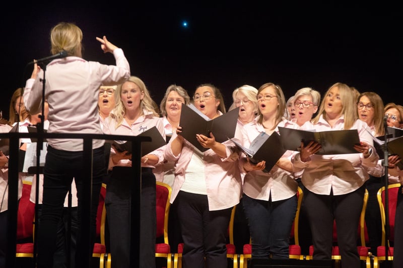 Just Sing Ladies Choir performing at their summer concert in Craigavon Civic Centre. PT17-220.