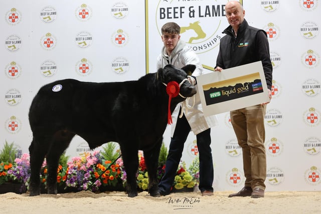 IN PICTURES: Ballymoney success at the Royal Ulster Premier Beef & Lamb ...