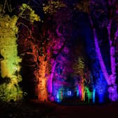 Christmas at Hillsborough Castle & Gardens - this magical new after-dark festive trail - is now open until January 1, 2023.