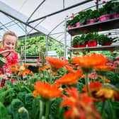 Free summer workshops for little ones at Dobbies Lisburn. Pic credit: Dobbies