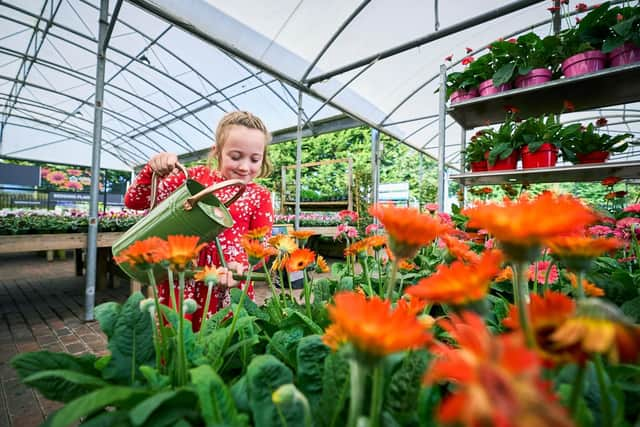 Free summer workshops for little ones at Dobbies Lisburn. Pic credit: Dobbies