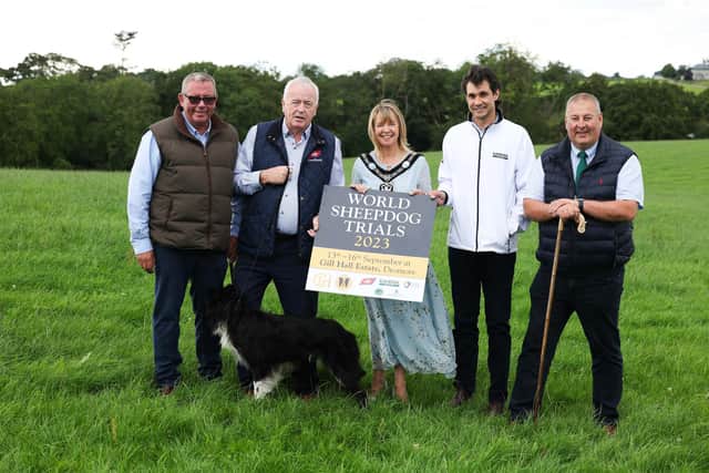 Pictured with Lord Mayor of Armagh City Banbridge and Craigavon Borough Council, Margaret Tinsley (centre), are from left, Bill Porter, Owner of Gill Hall Estate, Gerry Mellotte, ABP Food Group, sponsor, Marc Coppez, Randox, sponsor and John McCullough, Chairman of the World Trial Committee. Pic credit: Kelvin Boyes