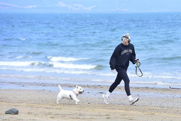 Enjoying a brisk walk along the beach at Helen’s Bay in Co Down.  Picture: Arthur Allison/Pacemaker Press.