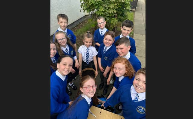 Children from P5 and P6 at St Mary's Primary School, Derrytransa get to grips with gardening with a little help from Portadown Wellness Centre's Alan McDowell.