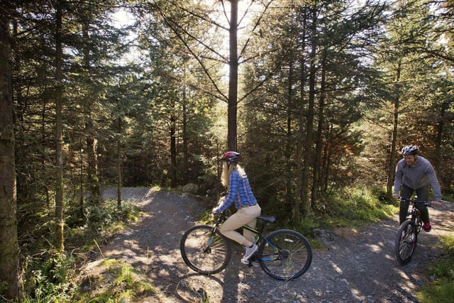 Davagh Forest is located approximately six miles northwest of Cookstown in the Sperrin Mountains and covers an area approximately 1,000 acres.
The area is known for its scenic beauty, mountain bike trails, and walking trails, including gentle mountain biking and walking trails, as well as a 16km red trail with grey slab rocks.
One trail that is particularly recommended to families is the Green trail, which is considered a gentle trail and is perfect for families who want to try out mountain biking for the first time.
The park is also home to a diverse range of flora and fauna, oak, beech, and ash trees, and beautiful bird species such as the buzzard and peregrine falcon.
The visitors centre provides useful information about the park’s interesting history and ecology, as well as allowing visitors to hire bikes and equipment during their visit.