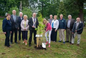 Lord Mayor of ABC Council, Alderman Margaret Tinsley and Portadown Rotary Club president, Paddy Haughian plant a tree at Edenvilla Park in memory of those who passed away during the Covid pandemic. Also included are Rotary club members and guests. PT21-215. Picture: Tony Hendron