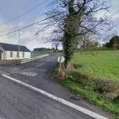 Police appeal for information after a school bus hit a fallen tree on the Glenavy Road in Lisburn. Pic credit: Google