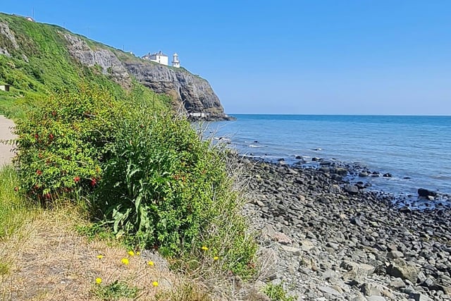 The coastal town of Whitehead between Larne and Carrickfergus in Co Antrim is a great spot to enjoy a leisurely stroll by the sea front or a more energetic walk along the Blackhead Path with its stunning location and iconic lighthouse as shown in this lovely shot by Joanne Campbell. If you're lucky you might spot seals, seabirds, pods of dolphin and porpoises and even the odd minke whale.