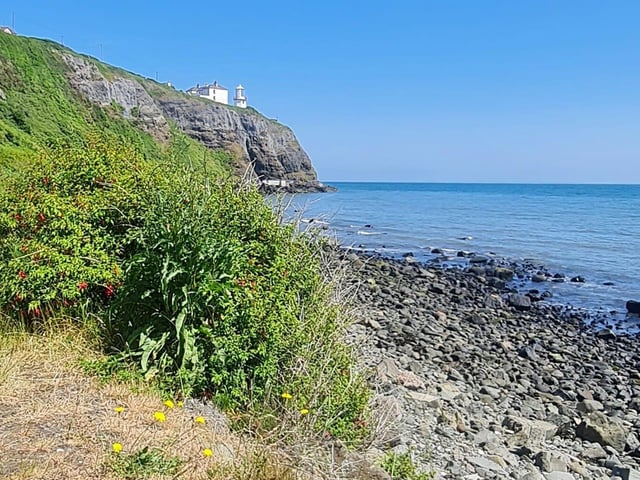 The coastal town of Whitehead between Larne and Carrickfergus in Co Antrim is a great spot to enjoy a leisurely stroll by the sea front or a more energetic walk along the Blackhead Path with its stunning location and iconic lighthouse as shown in this lovely shot by Joanne Campbell. If you're lucky you might spot seals, seabirds, pods of dolphin and porpoises and even the odd minke whale.