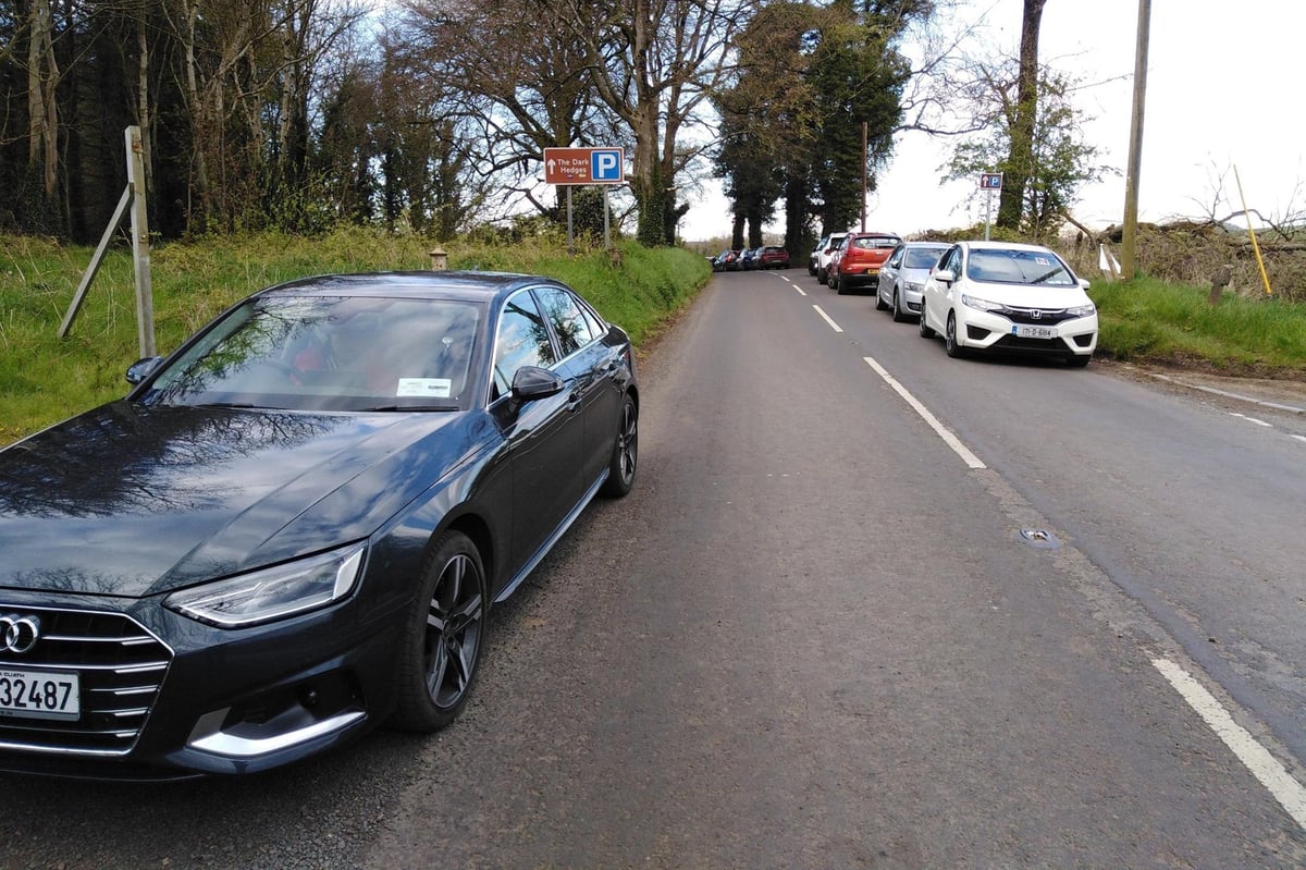 'Unauthorised' double yellow lines painted on Dark Hedges road, says Department for Infrastructure