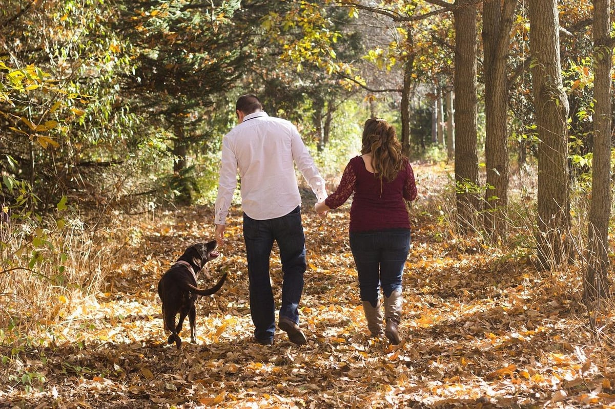 12 beautiful forest walks to enjoy in and around Co Armagh