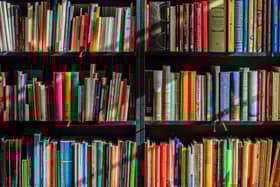 A spokesperson for the Education Authority (EA) said: “Work to establish Causeway Academy continues at pace" CREDIT PIXABAY