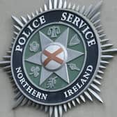 Police are appealling for witnesses after a Jack Russell dog was hit by a car in Banbridge. Picture: Pacemaker