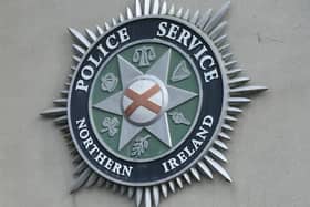 Police are appealling for witnesses after a Jack Russell dog was hit by a car in Banbridge. Picture: Pacemaker