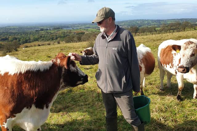 Lough Neagh farmer Michael Meharg with his moiled cattle