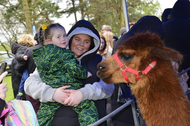 Local residents visiting Phil's Farm at the Family Fun Day in Wallace Park.