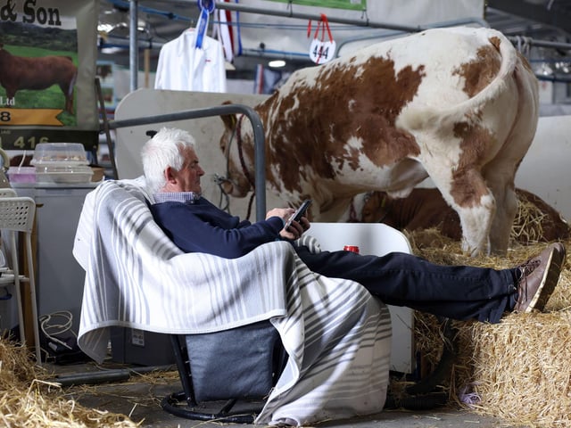 Dessie O'Hanlon from Newry enjoys a rest after a busy day at the Balmoral agricultural show.