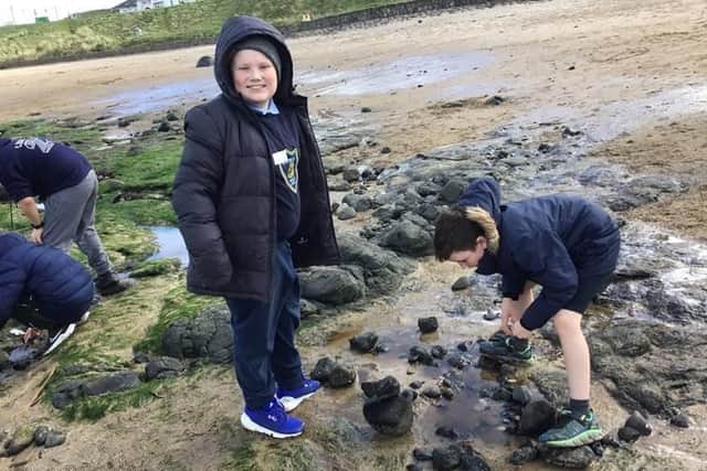 Pupils from Straidbilly Primary School inspect rock-pools for marine species at Portballintrae beach