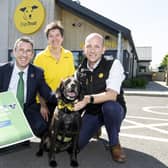 DAERA Minister Andrew Muir is pictured on a visit to Dogs Trust Ballymena where he announced the publication of his Animal Welfare Pathway for companion and farmed animals. Pictured with Minister Muir are Laura Orr, Regional Public Affairs Officer, Adam Clowes Dogs Trust Chief of Staff and Buddy a 6-year-old Labrador cross.