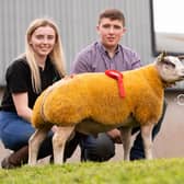 Siblings Megan and Bobby Porter with their winning Ram Lamb from Dungannon Show and Export Sale. Credit: Contributed