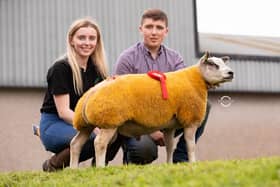 Siblings Megan and Bobby Porter with their winning Ram Lamb from Dungannon Show and Export Sale. Credit: Contributed
