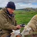 Neil McGowan, farmer and Nuffield Scholar, who will share his experience of flock breeding at AgriSearch’s Flock Focus 2026. Credit: Supplied