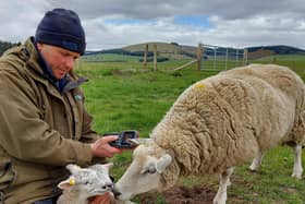 Neil McGowan, farmer and Nuffield Scholar, who will share his experience of flock breeding at AgriSearch’s Flock Focus 2026. Credit: Supplied