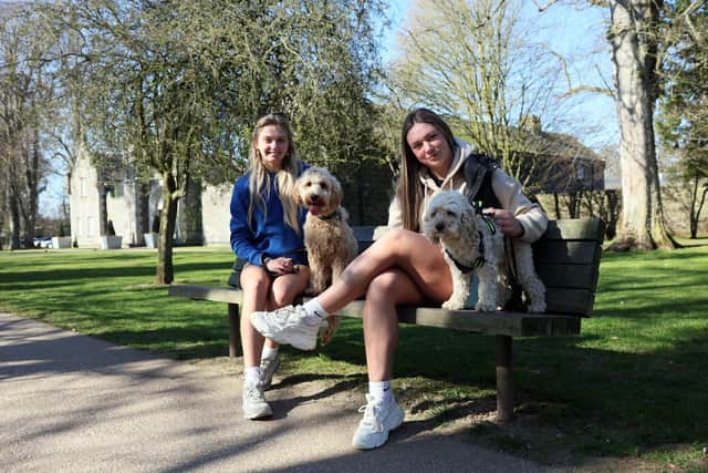 Sophie Alexander with Rosie and Megan Reid and Marley enjoy the sunshine at Clotworthy House in Antrim Castle Gardens. Picture: Pacemaker