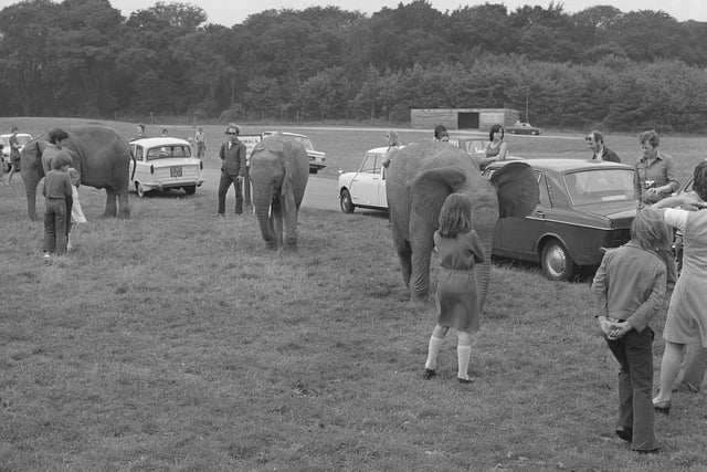 Lots of visitors to the park in August 1974.