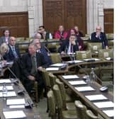 Jim Allister addressing MPs at a Westminster Hall debate on the Windsor Framework.