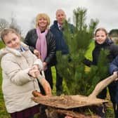 Housing Executive staff dig in with schoolchildren planting trees to improve their community.