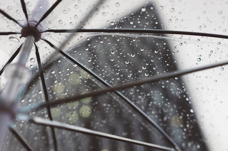 The phrase is supposed to have originated in England in the 17th century. City streets were then filthy and heavy rain would occasionally carry along dead animals. Also, cats and dogs both have ancient associations with bad weather.
