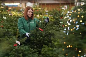 Dobbies Lisburn store has donated Christmas trees to local community groups
