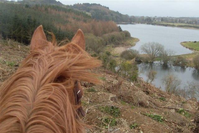 Explore the beautiful Lough Money Lake on a horse or pony trek. Discovering the lake in this unique way will enable you to take in all of its beauty whilst connecting with your horse.At St Patrick’s Way Stables, children are encouraged to learn the fun of horse riding in a safe environment. As this tour is accessible, it is suitable for all abilities and can be a relaxed beginner's introduction to the world of horses and horse riding. For more information, go to discovernorthernireland.com