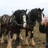 Joanne O'Neill pictured at the Ballycastle St Patrick's Day Ploughing Match