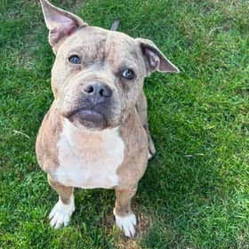 Max settled at home one year after the court case battle to save his life. Pic credit: LDRS