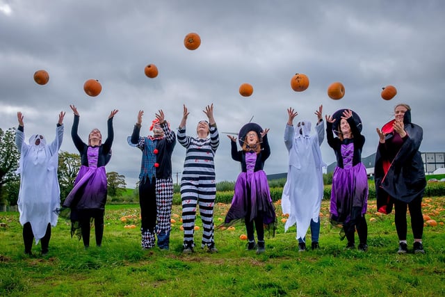 Spooky goings on at the pumpkin farm in  Loughgall Co. Armagh. CREDIT: LiamMcArdle.com