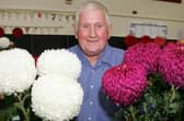 Herbie McCauley who is famed for his beautiful chrysanthemums.