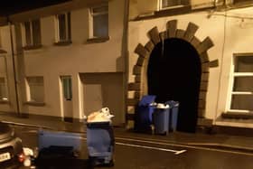 On December 15 Edward Street was impassable with two blue bins on the road.