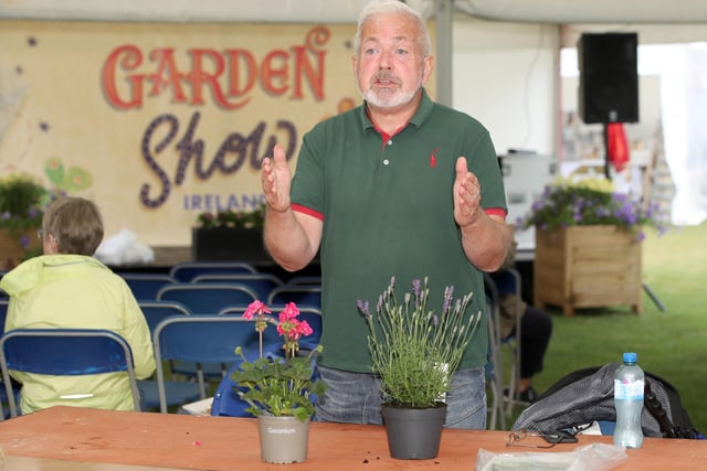 Pictured at Garden Show Ireland on Saturday is Geoff Stebbings talking about gardening in pots.