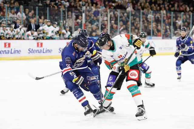 Belfast Giants' Will Cullen and Chris McKay of Dundee Stars. Photo by Philip Magowan / Press Eye