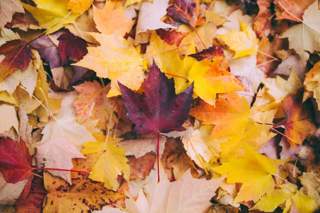 Keep your spirits up this autumn and winter with some of the great events taking place in Co Tyrone.