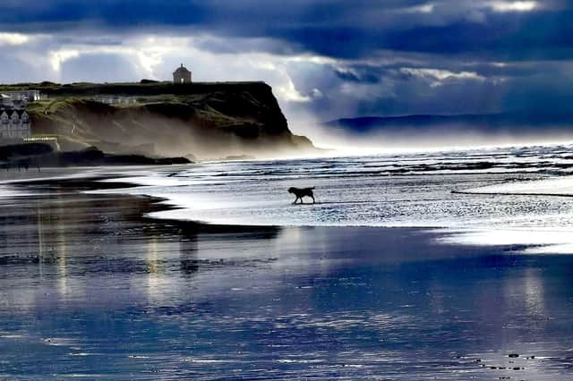 Lydia Linton shared this fabulous photo of Castlerock, where a one kilometre beach stretches between the sea cliffs of Downhill to the west and the Lower River Bann estuary known as the Barmouth to the east.