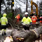 Storm Éowyn caused extensive tree damage throughout the ABC Borough. Credit: NIE Networks