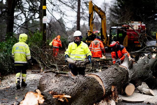 Storm Éowyn caused extensive tree damage throughout the ABC Borough. Credit: NIE Networks