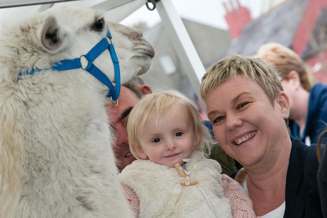 Tori-Lee Robinson pictured here with mum Sonya says hello to 'Levi' the llama. INCT 19-432-RM